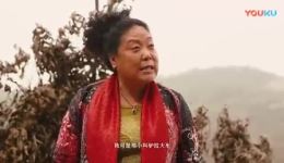 家有贤妻