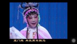 大闹花府