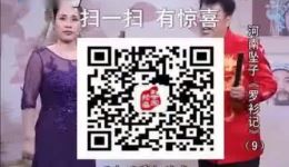 河南坠子《罗衬记》全场下载 - 王建国主演戏曲视频mp4/mp3资源下载