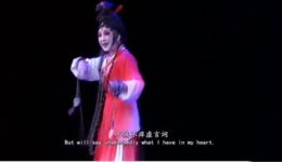 皂隶与女贼