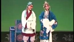 王华卖子