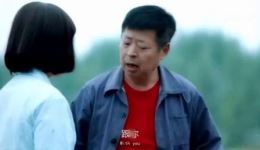 豫剧电影《女婿》全剧视频下载 - 正版高清戏曲资源，支持mp4/mp3格式下载