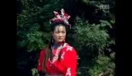 琴书《五梅七枪反唐传》第02部血染太原府全场下载，mp3/mp4高清戏曲资源
