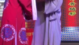 宁都采茶戏《承相试母》李兰兰王帅主演，高清mp3/mp4戏曲资源下载下载