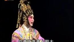 粤剧《情侠闹璇宫》全剧下载 - 梁兆明林婷主演湛江粤剧团经典全场下载