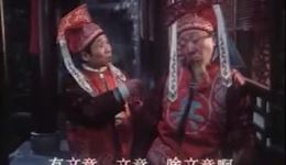 豫剧电影《樊梨花》全场字幕版下载 - 李莉金宏主演经典戏曲资源