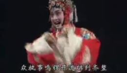 豫剧《抬花轿》府门外三声炮选段下载，王红丽经典演唱mp3/mp4资源下载