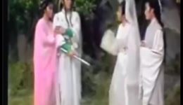 都马蝶