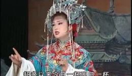 黄梅戏《打金枝》全场戏曲mp3/mp4下载,经典剧目完整呈现 黄梅戏《打金枝》全场戏曲mp3/mp4下载,经典剧目完整呈现
