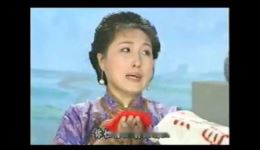 太阳花