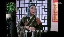 同根异果