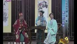 滑稽戏《珍珠塔奇缘》全场高清下载 - 王双百王明道钱程主演经典剧目下载