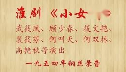 淮剧《小女婿》全场戏下载武筱凤等名家演绎，经典农村题材佳作在线获取