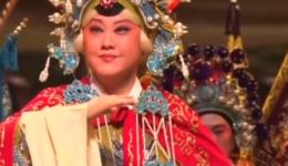 豫剧《五世请缨》经典片段 王慧演唱 常派名剧在线下载下载