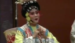 潮剧《无意神医》全场高清下载，方展荣吴玲儿主演，经典戏曲mp3/mp4资源一键获取下载