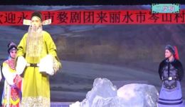 婺剧《二度梅》全场字幕版下载，戴丽霜陈建旭主演，高清mp3/mp4资源获取下载