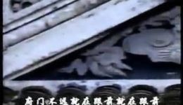 河南坠子《罗成算卦》全场MP3/MP4下载，郭永章等名家演绎，隋唐英雄命运悲剧戏曲资源下载