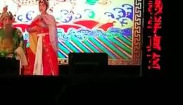 楚剧《樊梨花》mp3/mp4高清下载|经典戏曲资源一键获取 楚剧《樊梨花》mp3/mp4高清下载|经典戏曲资源一键获取