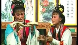 半子依靠