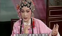 黄梅戏《莲花庵》全剧下载_夏丽娟潘文庆主演全场MP3/MP4资源