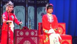 吕剧《胡林抢亲》全剧资源下载，赵振平张玉梅主演，传统戏曲经典呈现下载