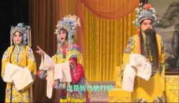 河北梆子《打金枝》全场戏曲mp3/mp4下载，金玉芳李斌主演经典剧目下载