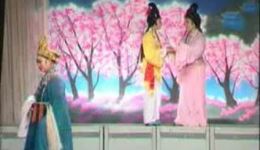 花墙会