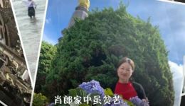 三姑记·哀川调