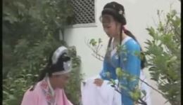 墙外小桃花