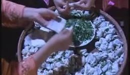 黄梅戏《王金豆借粮》全本戏曲下载，MP3/MP4资源免费获取