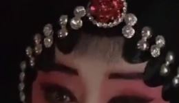 窦娥冤托梦