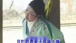 琴书《扒狗皮》孙秀英1-4集合并全本下载，MP4/MP3戏曲资源一键获取