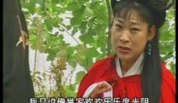 徐州琴书《断臂姻缘》全集下载，张银侠王道兰刘汉飞经典演绎，九集完整珍藏版下载
