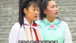 琴书《断臂姻缘》全集下载 - 张银侠王道兰刘汉飞经典演唱下载
