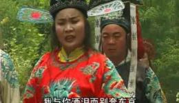 琴书《断臂姻缘》全集下载｜张银侠王道兰刘汉飞经典演绎，9集完整珍藏版下载