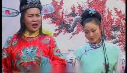 琴书大鼓书《断臂姻缘》全集下载——张银侠王道兰刘汉飞徐州琴书经典演绎下载