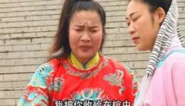 徐州琴书《断臂姻缘》张银侠王道兰刘汉飞演唱 9集完整版戏曲资源下载下载