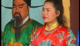 琴书大鼓书《断臂姻缘》9集全集下载_张银侠王道兰刘汉飞演唱经典戏曲资源下载