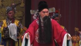 丝弦《孙安动本》全集MP4/MP3下载，张丽华等主演，河北传统戏曲资源下载