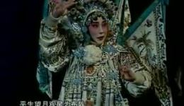 十二寡妇征西