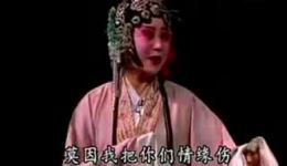 秦腔经典《周仁回府》全剧下载，任哲中等主演，忠义大戏不容错过