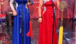 大调曲子《对药名》马街书会戏曲视频MP4/MP3下载 - 传统曲艺经典资源下载