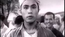 1956年经典评剧《刘巧儿》全剧视频下载，新凤霞主演高清戏曲资源下载