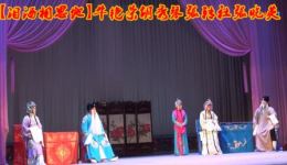 曲剧《泪洒相思地》全场戏曲下载mp3/mp4资源，南阳市霞光曲剧团高清正版下载