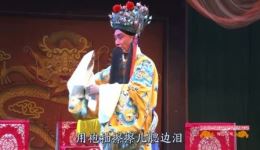 武安平调《打金枝》选段高清戏曲视频MP4/MP3资源下载，经典剧目在线获取