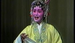 河北梆子《同根异果》全剧下载-高清MP4/MP3资源-刘维维主演戏曲视频 河北梆子《同根异果》全剧下载-高清MP4/MP3资源-刘维维主演戏曲视频