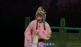 淮剧《珍珠塔》全剧下载 - 泰州市淮剧团经典剧目MP4资源下载