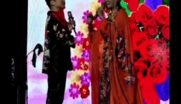二人转《天仙配》七岁红冯涛主演，高清戏曲视频MP4/MP3资源下载下载