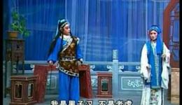 三岁十二两