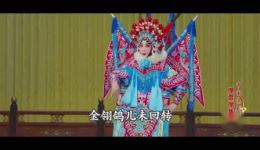 京剧《红鬃烈马》2-2高清下载侯丹梅张建国宋小川主演，戏曲视频MP4/MP3资源